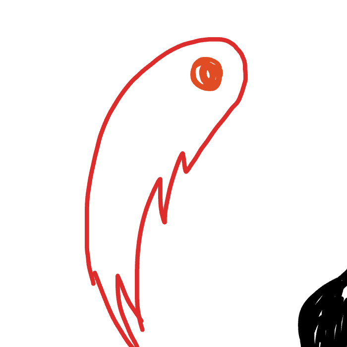 Drawing in KILLPJ by WigglyPiggly