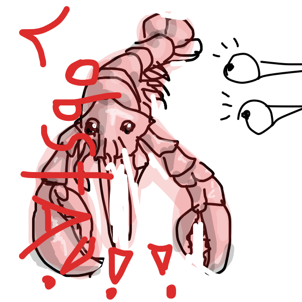 Drawing in KILLPJ by RafaelH