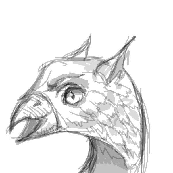 Drawing in Naturwissenschaft by RafaelH