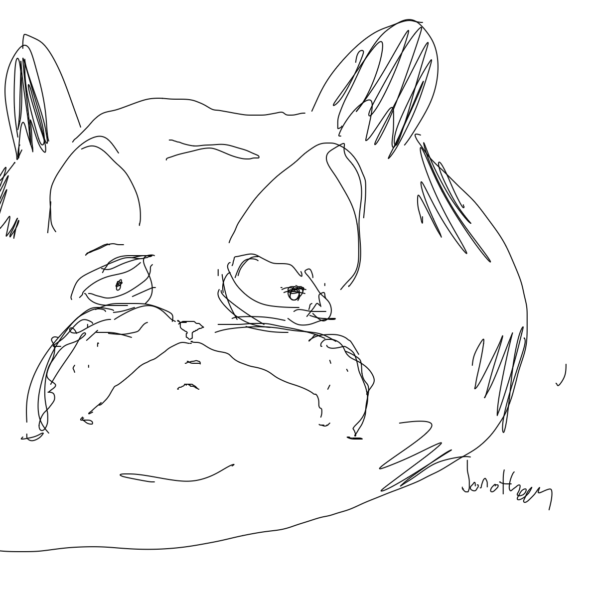 Drawing in Garf by String Cheese