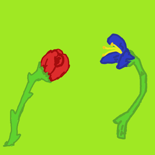 Drawing in roses are red violets are blue by CATOLINEO