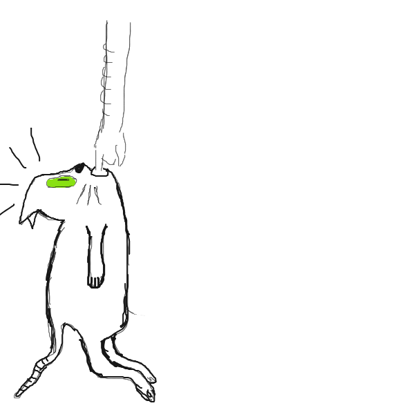 Drawing in Cat by EccoUniform