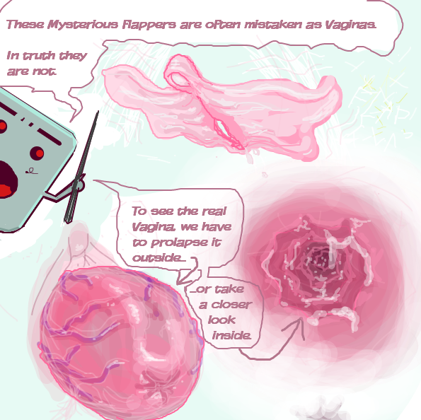 showing Vulvas yay - prolapsed vaginas Nay! - Online Drawing Game Comic Strip Panel by Ramora