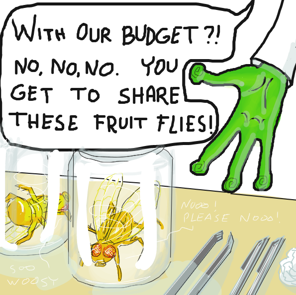 Drawing in frog disection  by Ramora