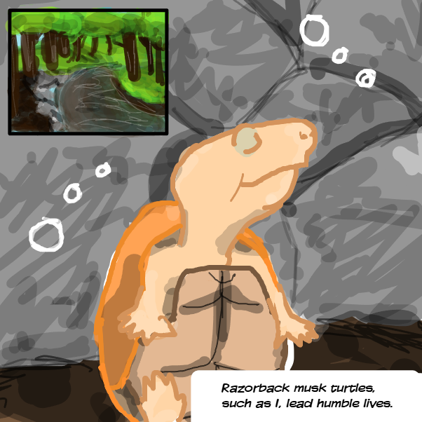 Drawing in Humble Razorback by montesquieu